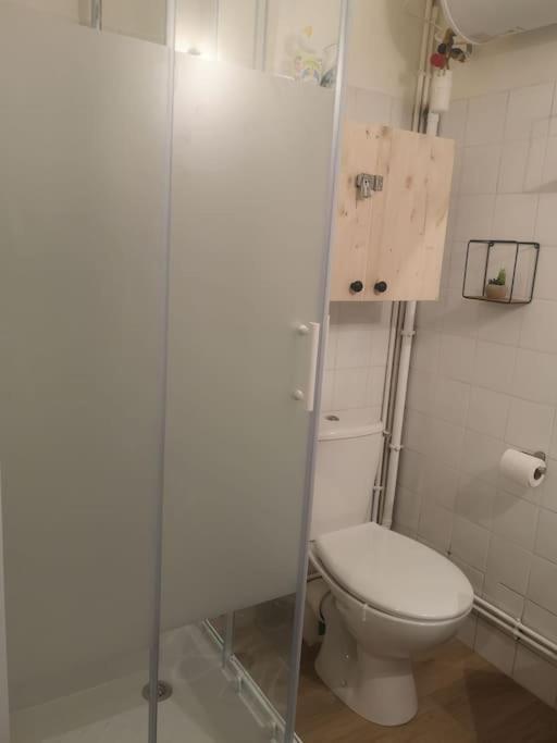 Appartement Cosy Au Centre-Ville De تولوز المظهر الخارجي الصورة